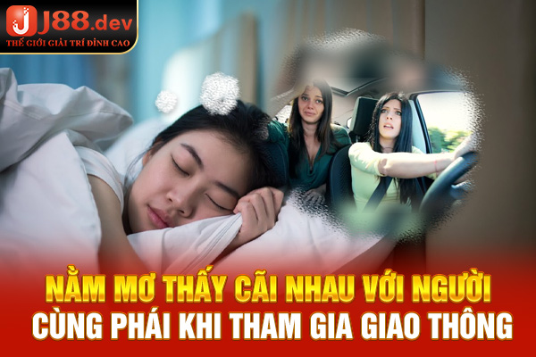 Nằm mơ thấy cãi nhau với người cùng phái khi tham gia giao thông